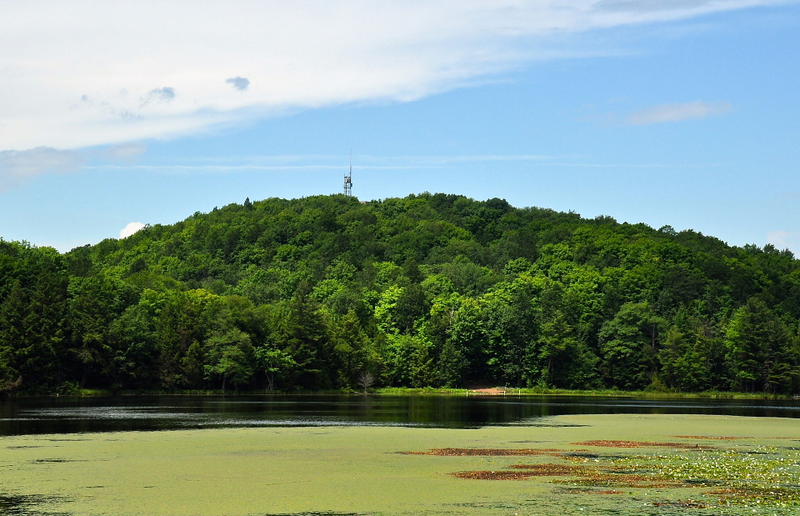 Wisconsin. Wikimedia Commons